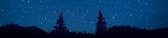 ©Vapi / www.photocase.de Banner Physoanalyse